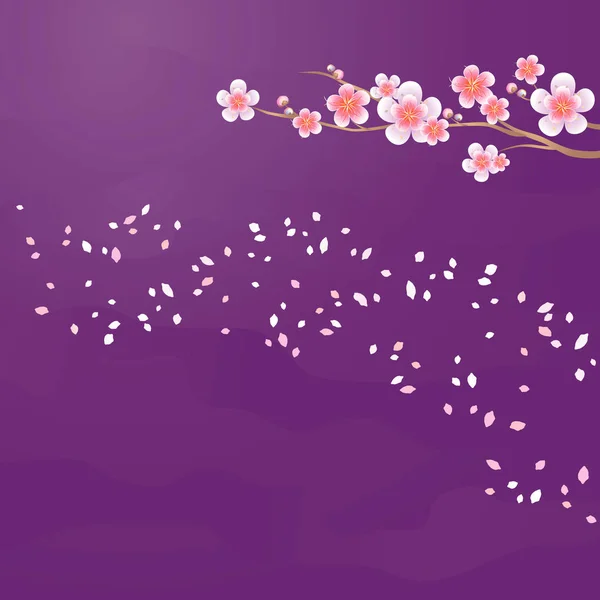 Rama de Sakura y pétalos volando aislados sobre fondo violeta púrpura. Flores de manzano. Flor de cerezo. Vector EPS 10, cmyk — Archivo Imágenes Vectoriales