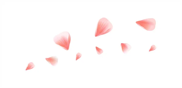 Progettazione petali. Fondo floreale. Petali Rose Fiori. Petali rosa Sakura volanti isolati su sfondo bianco. Vettore EPS 10, cmyk — Vettoriale Stock