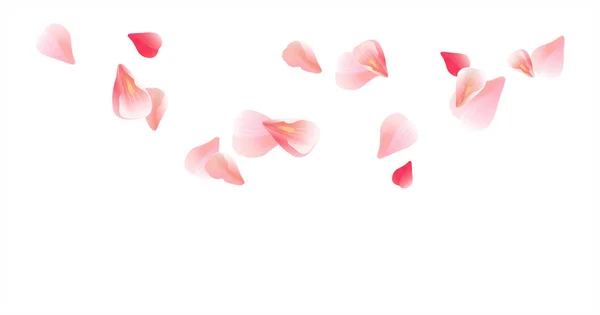 Kronblad design. Blomma bakgrund. Kronblad rosor blommor. Rosa Sakura flygande blomblad isolerad på vit bakgrund. Vektor Eps 10, cmyk — Stock vektor
