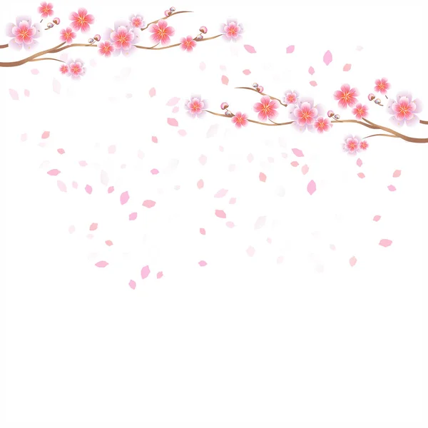 Rami di Sakura e petali che volano isolati su sfondo bianco. Fiori di melo. Fiore di ciliegio. Vettore EPS 10, cmyk — Vettoriale Stock