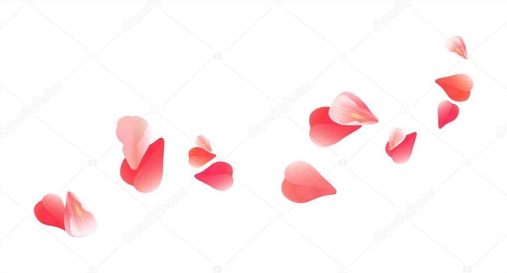 Red Sakura flying petals isolated on white background. Petals Roses Flowers. Vector EPS 10, cmyk
