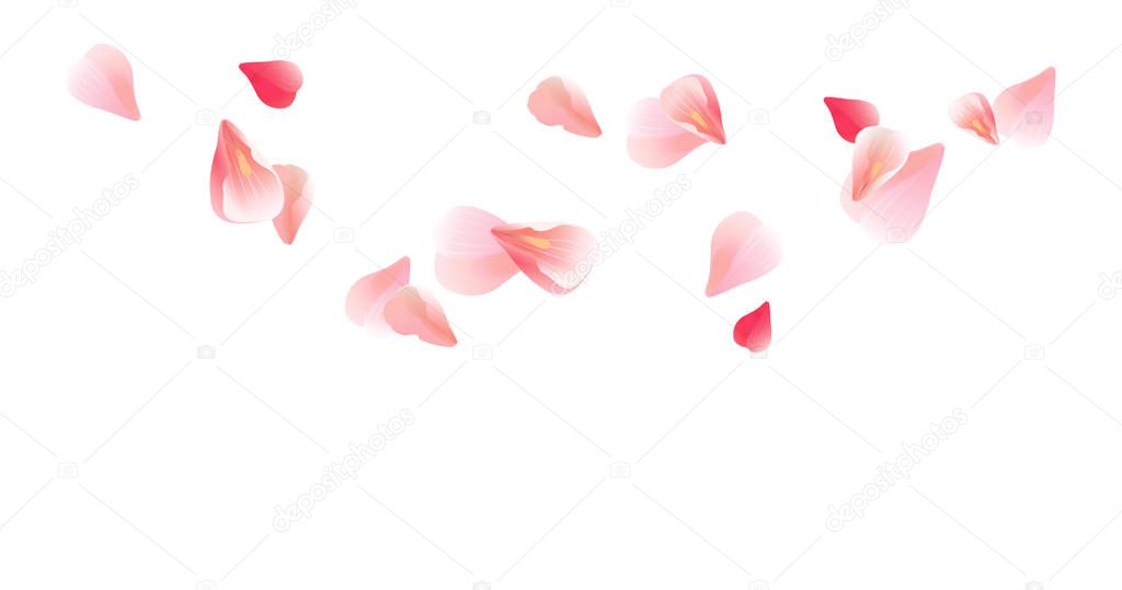 Petals design. Flower background. Petals Roses Flowers. Pink Sakura flying petals isolated on white background. Vector EPS 10, cmyk