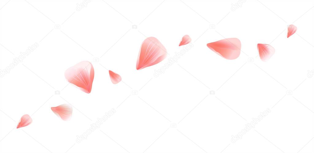 Petals design. Flower background. Petals Roses Flowers. Pink Sakura flying petals isolated on white background. Vector EPS 10, cmyk