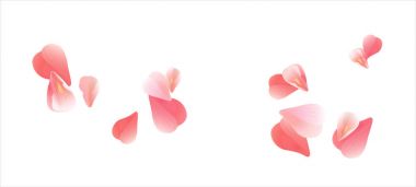 Beyaz izole pembe kırmızı uçan yaprakları. Sakura gül yaprakları. Vektör Eps 10, cmyk