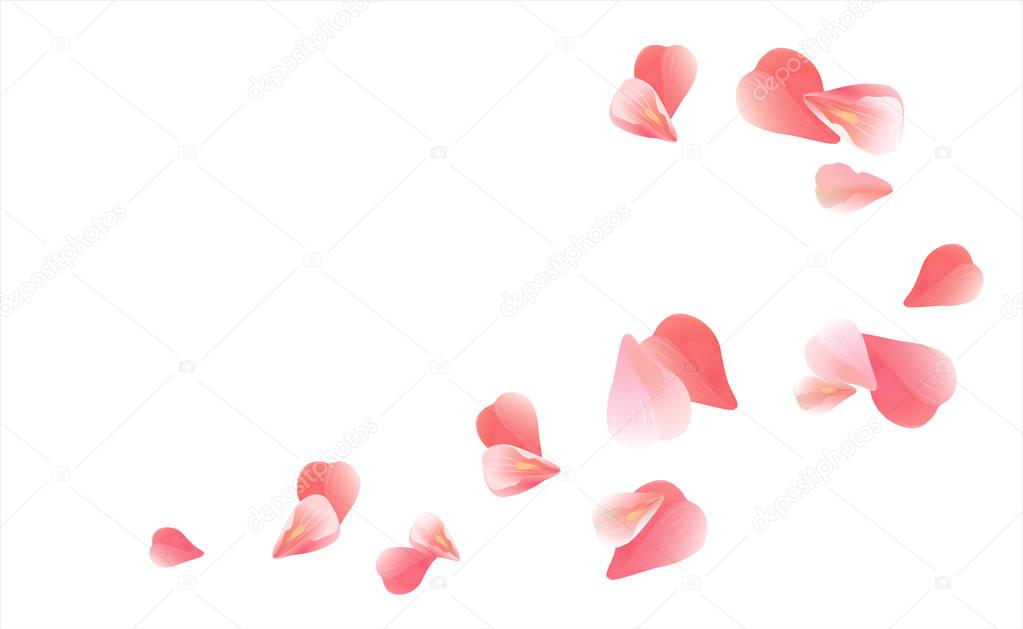 Pink Red flying petals isolated on white. Sakura Roses petals. Vector EPS 10, cmyk