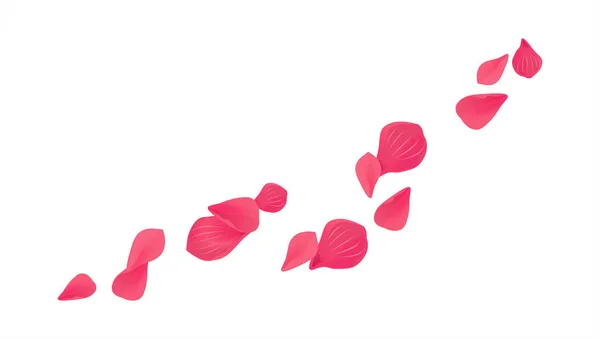 Красная Сакура летающие лепестки изолированы на белом фоне. Цветы лепестков роз. Вектор EPS 10, cmyk — стоковый вектор