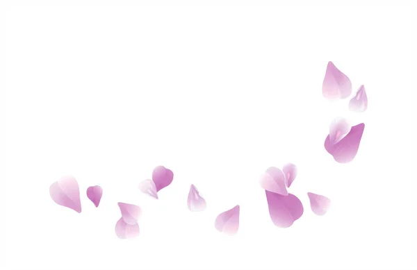 Blütenblätter gestalten. Blumenhintergrund. Blütenblätter Rosen Blumen. Purpurviolette Sakura fliegende Blütenblätter isoliert auf weißem Hintergrund. Vektor eps 10, cmyk lizenzfreie Stockvektoren