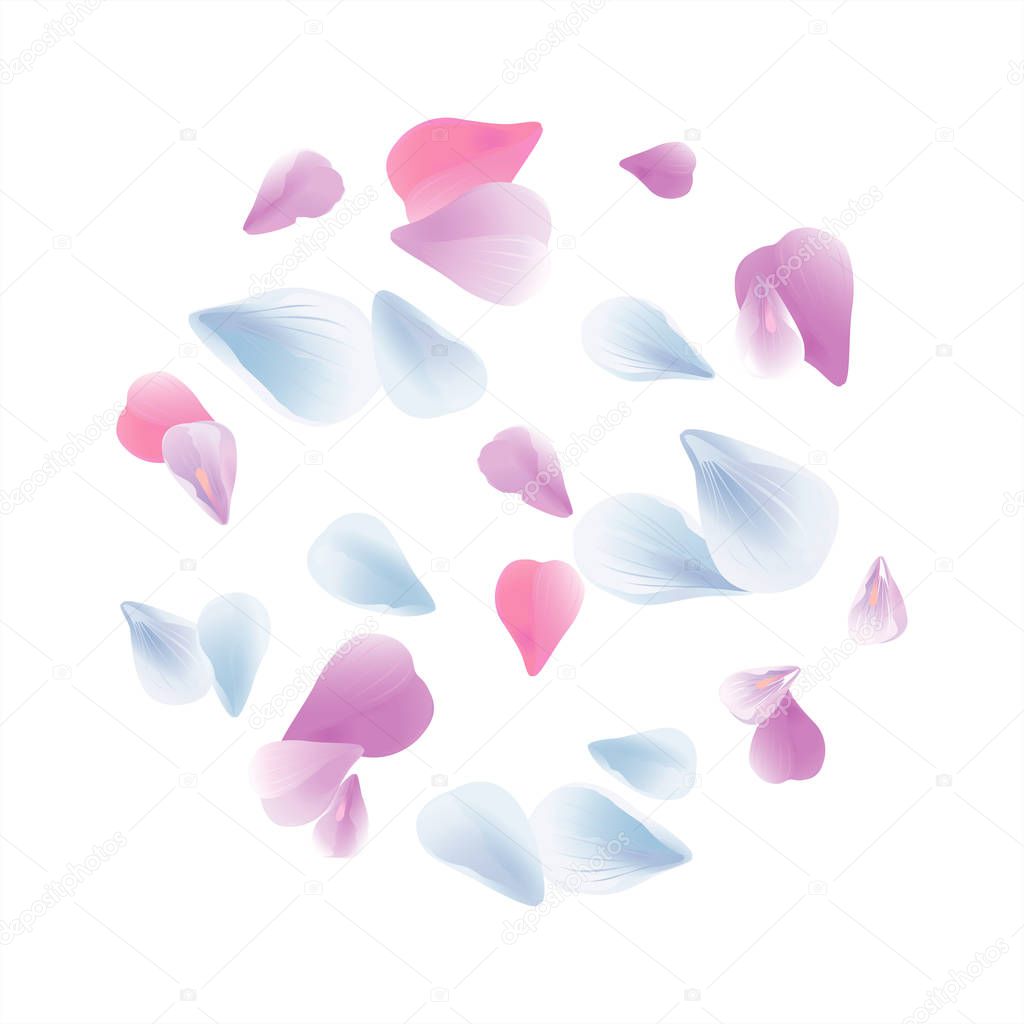 Petals design. Flower background. Petals Roses Flowers. Blue Pink Purple Sakura flying petals isolated on white background. Vector EPS 10, cmyk
