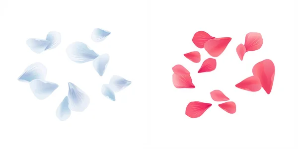 Встановити білий, синій і рожевий червоний літаючих ізольовані на білому тлі пелюстки. Пелюстки троянд Сакура. Векторні Eps10, cmyk — стоковий вектор