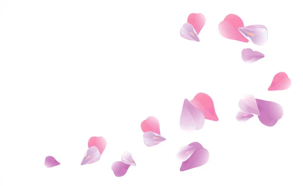 Diseño de pétalos. Fondo de flores. Pétalos Rosas Flores. Violeta púrpura Sakura pétalos voladores aislados sobre fondo blanco. Vector EPS 10, cmyk Gráficos vectoriales