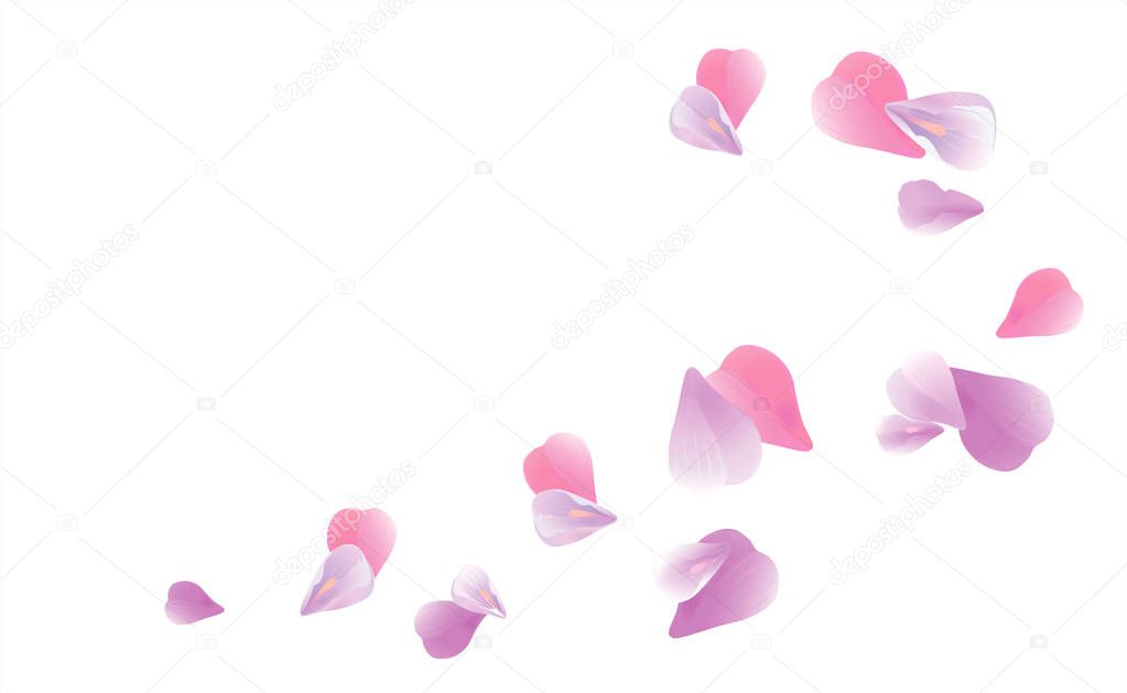 Petals design. Flower background. Petals Roses Flowers. Purple Violet Sakura flying petals isolated on white background. Vector EPS 10, cmyk