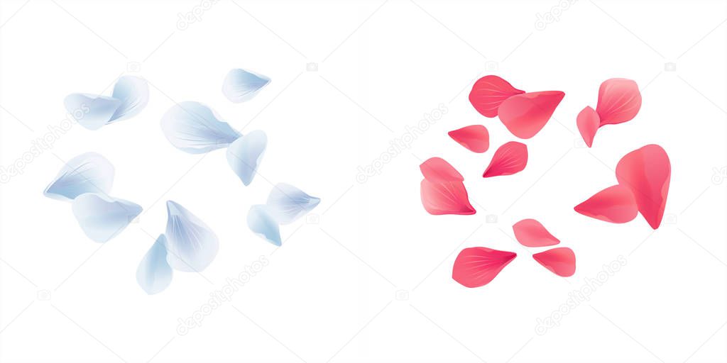 Set Blue White and Pink Red flying petals isolated on white background. Sakura Roses petals. Vector EPS10, cmyk