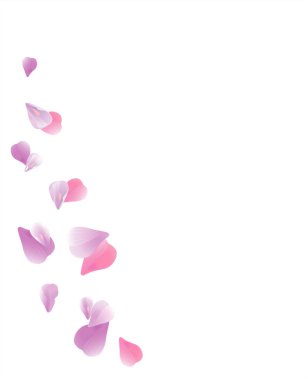Yaprakları tasarım. Çiçek arka plan. Yaprakları gül çiçek. Beyaz arka plan üzerinde izole yaprakları uçan mor Menekşe Sakura. Vektör Eps 10, cmyk