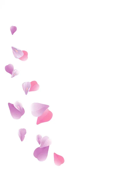 Ontwerp van de bloemblaadjes. Bloem achtergrond. Bloemblaadjes rozen bloemen. Paars Violet Sakura vliegen bloemblaadjes geïsoleerd op een witte achtergrond. Vector Eps 10, cmyk — Stockvector