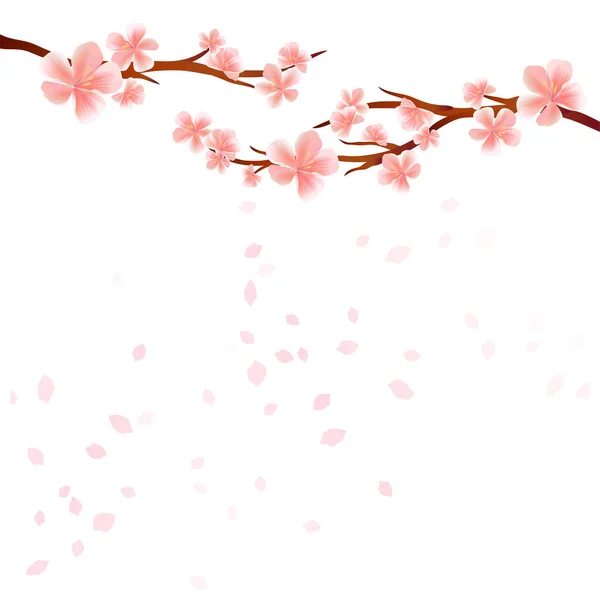 Ramas de Sakura con flores rosadas y pétalos voladores aislados sobre fondo blanco. Flores de manzano. Flor de cerezo. Vector EPS 10 cmyk — Vector de stock