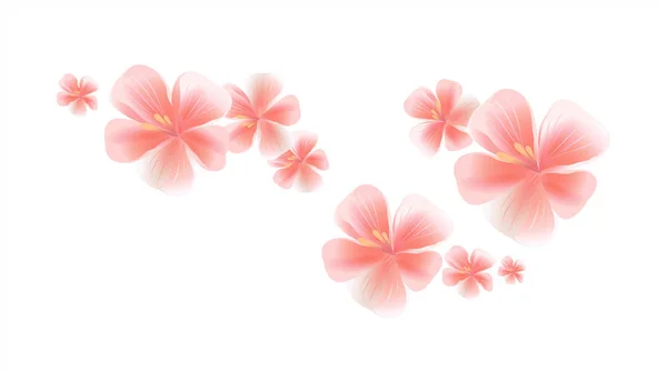 Růžová, letící květiny izolovaných na bílém pozadí. Sakura květiny. Třešňový květ. Vektorové Eps 10 cmyk — Stockový vektor