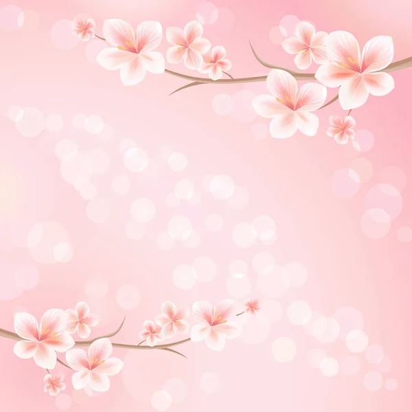 Sakura Blommar Gren Sakura Med Blommor Cherry Blossom Gren Rosa — Stock vektor