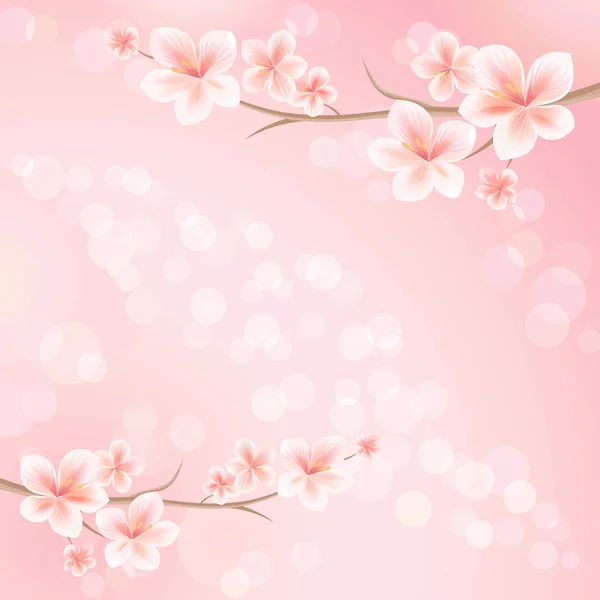 Sakura çiçekleri. Sakura çiçekli dalı. Pembe Bokeh arka plan dalda kiraz çiçeği. Vektör