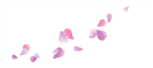 Фиолетовые Фиолетовые Летающие Лепестки Изолированы Белом Фоне Лепестки Сакуры Розы — стоковый вектор