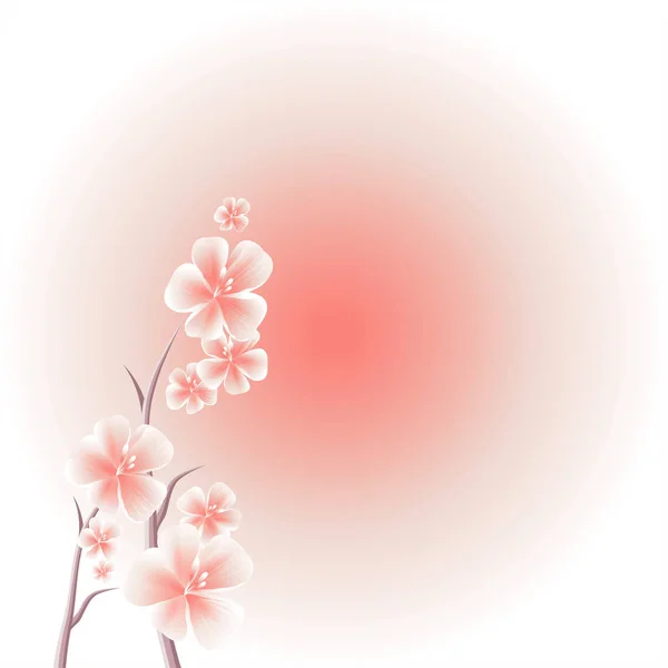Grenar Sakura Med Rosa Blommor Isolerad Rosa Tonad Bakgrund Äppelträd — Stock vektor