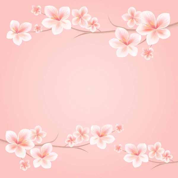 Grenar Sakura Med Rosa Blommor Isolerad Rosa Bakgrund Sakura Blommor — Stock vektor