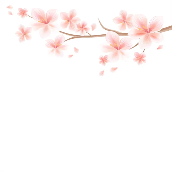 Rama de Sakura con flores rosadas y pétalos voladores aislados en — Vector de stock