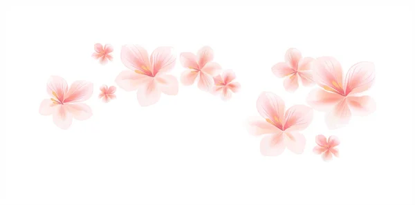 Flores de melocotón rosa claro volador aisladas sobre fondo blanco. Flores de manzano. Flor de cerezo. Vector EPS 10 cmyk Gráficos vectoriales