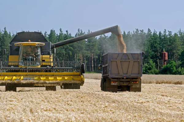 Combine harvester load wheat in the truck — Stock Photo, Image