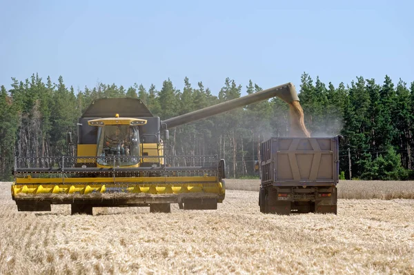 Menggabungkan pemanen yang bekerja di ladang gandum — Stok Foto