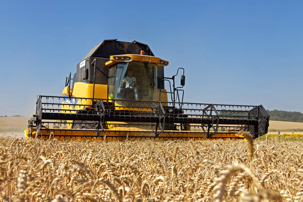 комбайны, работающие на пшеничном поле