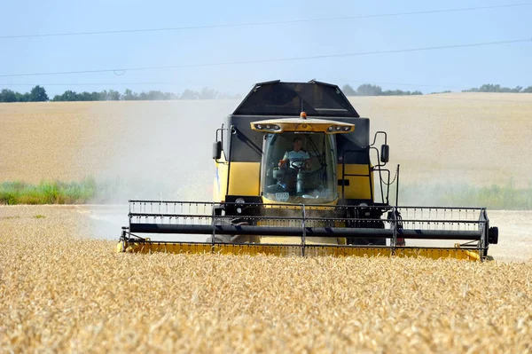 Unire la mietitrebbia lavorando su un campo di grano — Foto Stock