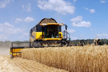 Buğday tarlasında çalışan hasatçıyı birleştirin.