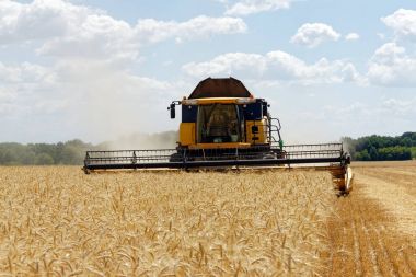 Buğday tarlasında çalışan hasatçıyı birleştirin.