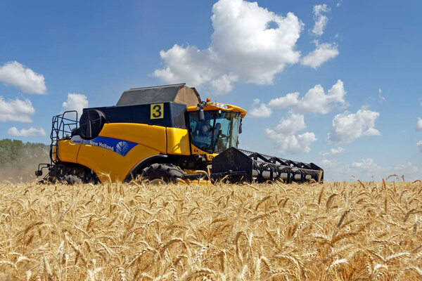 комбайны, работающие на пшеничном поле