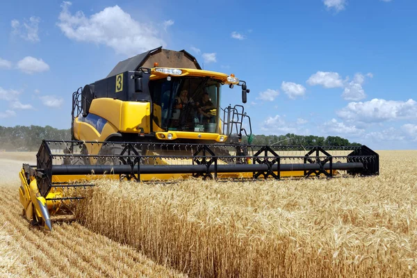 Unire la mietitrebbia lavorando su un campo di grano — Foto Stock