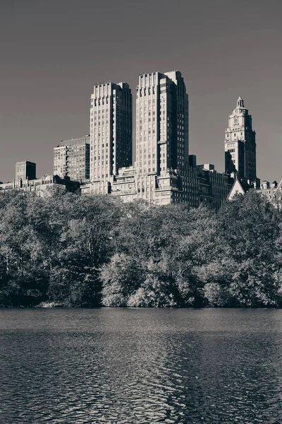 Central Park a New York. — Foto Stock