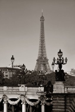 Alexandre III Paris Köprüsü