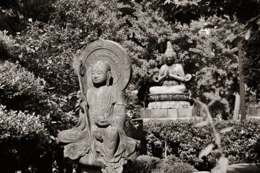 Buda heykelinin sensoji Tapınağı