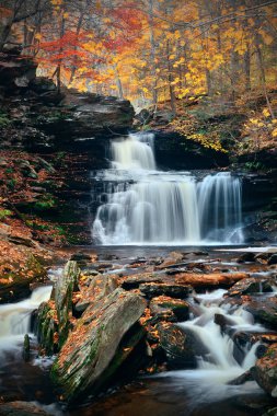 Park sonbahar şelaleler