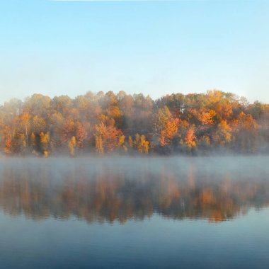Göl sonbahar yaprakları sis