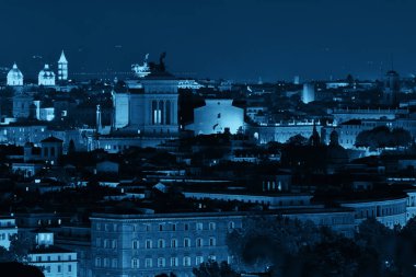 Roma çatı görünümü