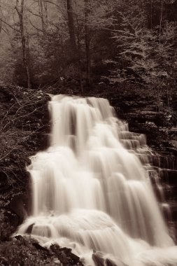 Siyah beyaz şelaleler