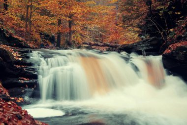 Park sonbahar şelaleler