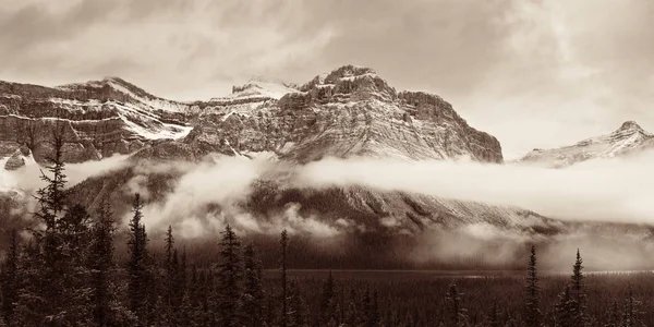 Bow Lake panoraama lunta — kuvapankkivalokuva