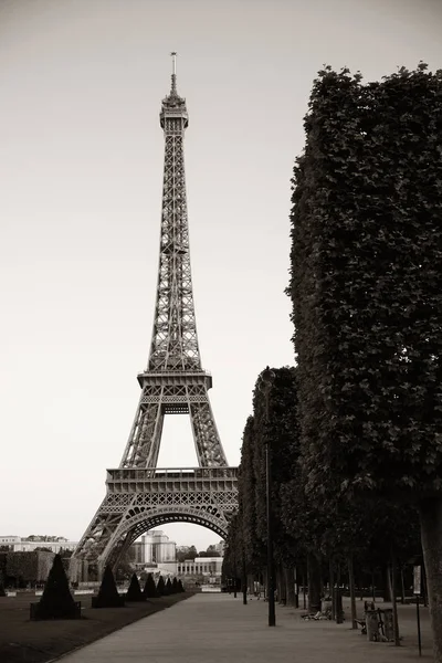 Eyfel Kulesi Paris — Stok fotoğraf