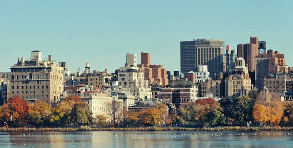 Central Park a New York. — Foto Stock