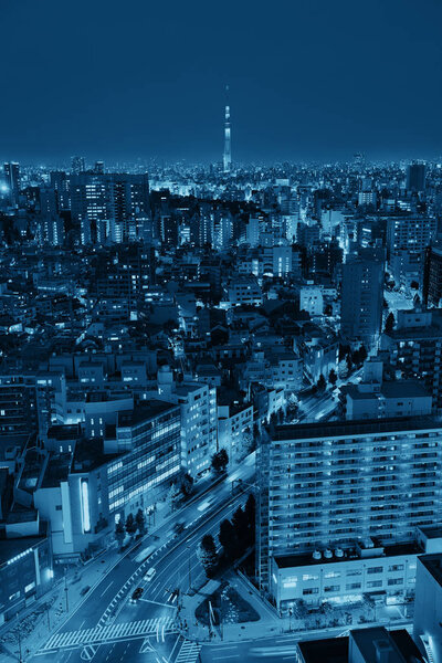 Tokyo Skytree and urban skyline rooftop view at night, Japan.