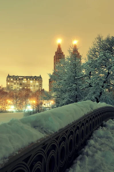 Central Park winter — Stockfoto