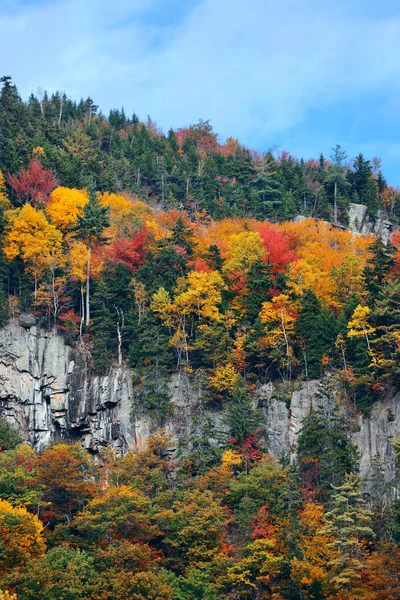Herfst gebladerte in witte berg — Stockfoto