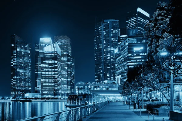 Singapore skyline at night 